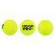 М'яч для падел-тенісу HEAD Padel Pro S+ 540303 3шт салатовий 540303 фото 3