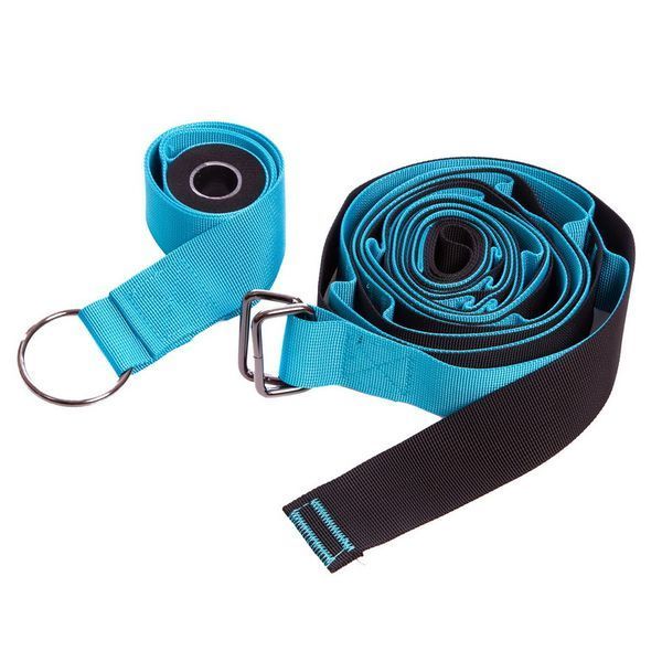 Лента стропа с петлями для растяжки Stretch Strap с дверным якорем Record FI-6907 14 петель черный-синий FI-6907 фото