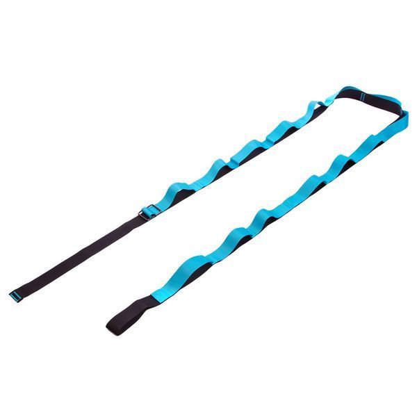 Лента стропа с петлями для растяжки Stretch Strap с дверным якорем Record FI-6907 14 петель черный-синий FI-6907 фото