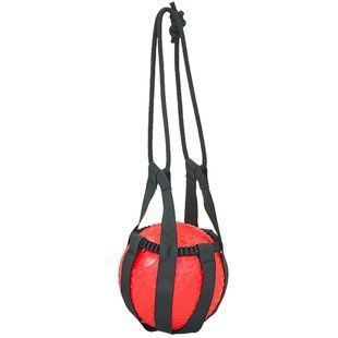 Слинг для медболов Tornado Ball Bag Zelart FI-5744 черный FI-5744 фото