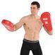 Лапа боксерская прямая тренировочная удлиненная Кожвинил BOXER NEW 2009-N 40х21х4,5см 2штуки цвета в ассортименте 2009-N фото 17