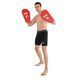 Лапа боксерская прямая тренировочная удлиненная Кожвинил BOXER NEW 2009-N 40х21х4,5см 2штуки цвета в ассортименте 2009-N фото 18